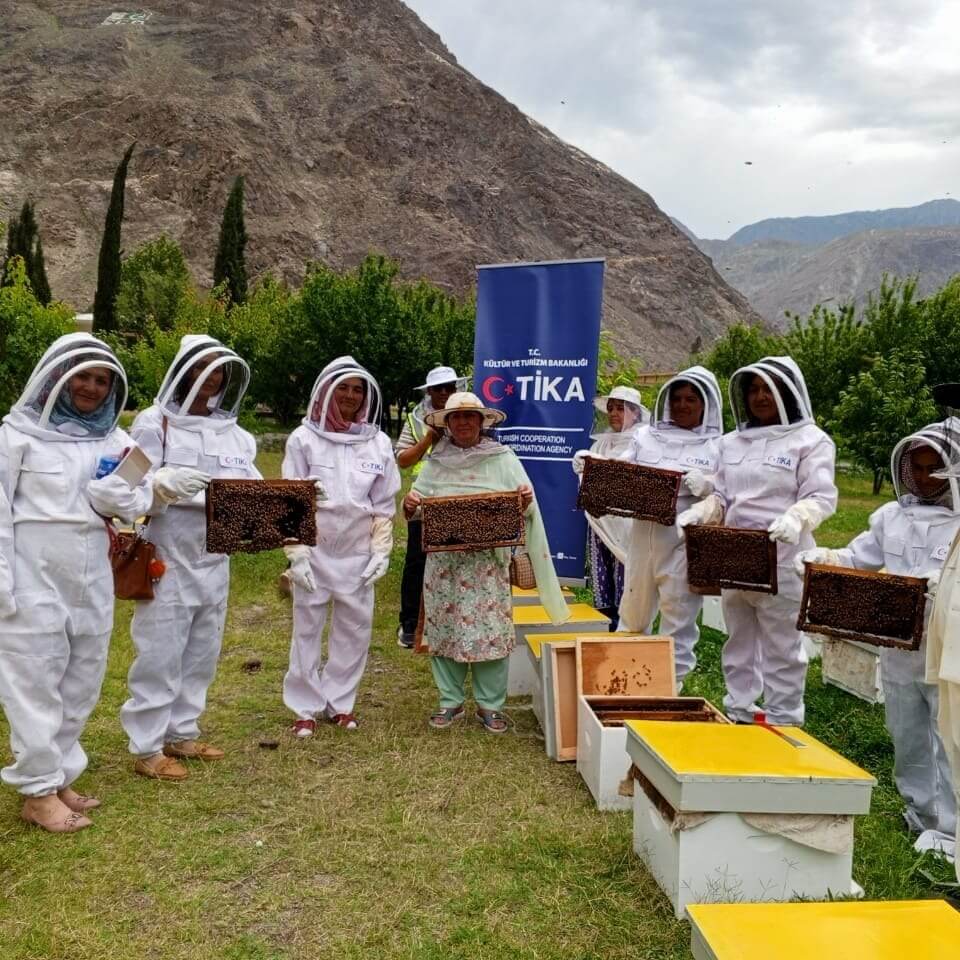 Apiculture Excellence & Hive Boxes