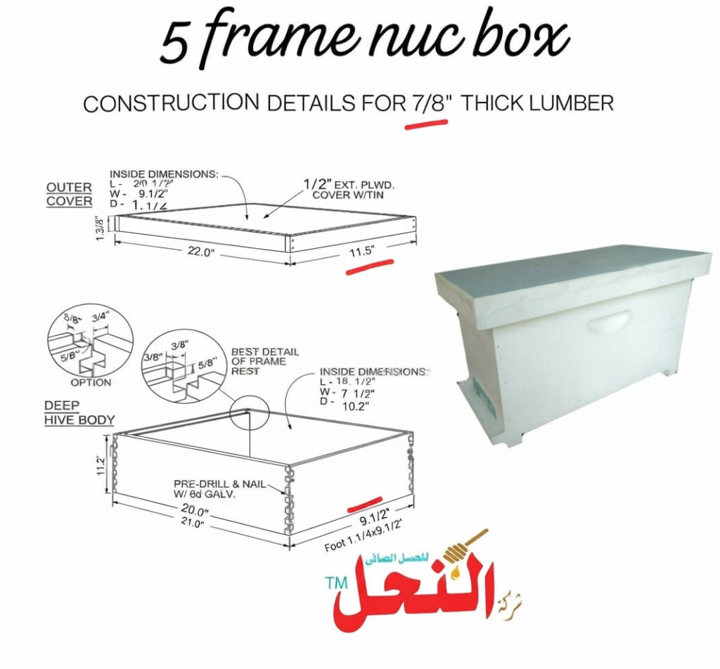 5-Frame Nuc Beehive