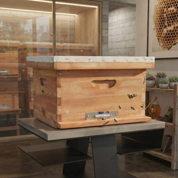 Afghan Model Beehive (Kail Wood)
