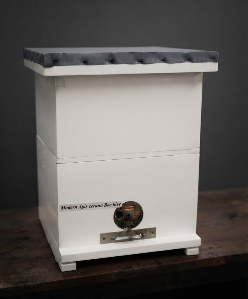 Cerana Outdoor Beehive