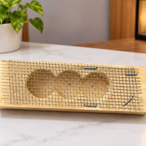 Wooden Queen Transportation Cage